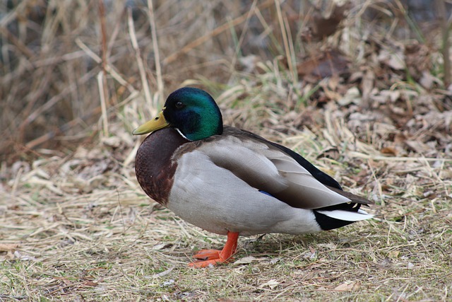 De bedste strategier til at løse svære krydsord
